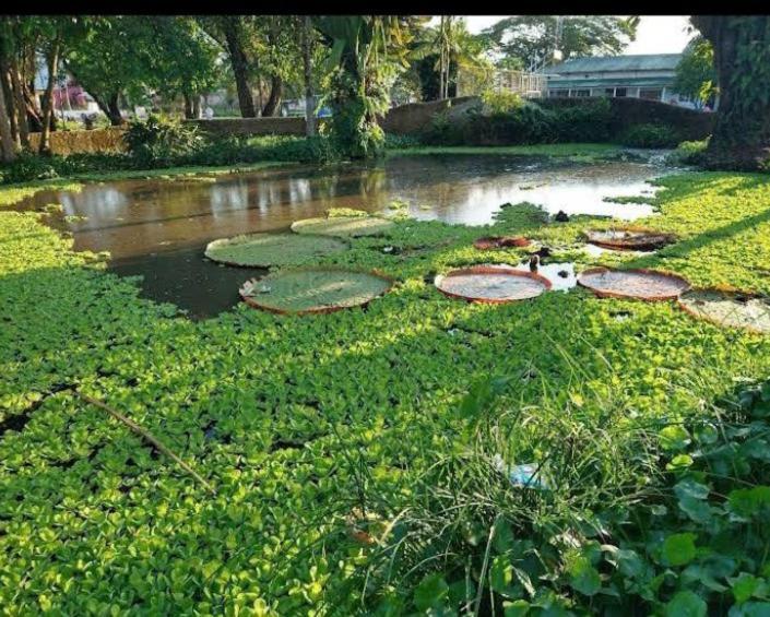 Hotel Alto Amazonas Летисия Экстерьер фото